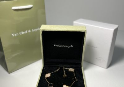 D070E2D5-62FC-480D-B888-A67BBED90EDB