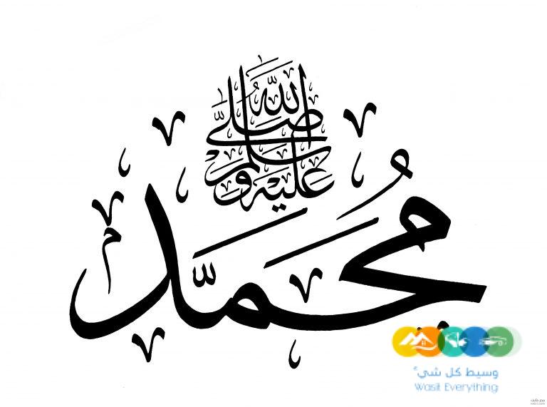 مطلوب مسوق دجاج لي المطاعم