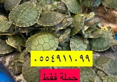 037fc4a1-88c3-47a8-9487-b7b2d68b543a