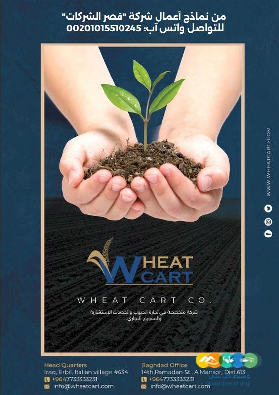 تصميم بروفايلات شركات وملفات تعريفية للمؤسسات