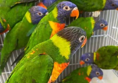 7fff7345-ef2f-42b3-a918-2433592da634