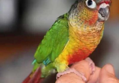 bbb9989d-864d-4099-b03c-22d85a6f844f