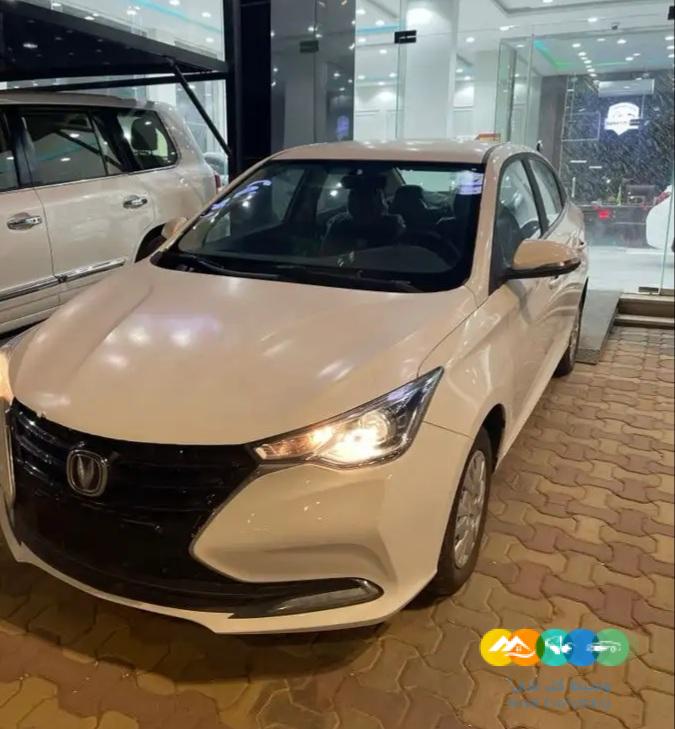 شانجان السفن ستاندر 2022