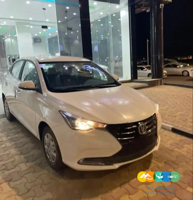 شانجان السفن ستاندر 2022