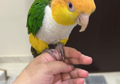 349F11CE-459E-4791-93BC-78CFF060F04A