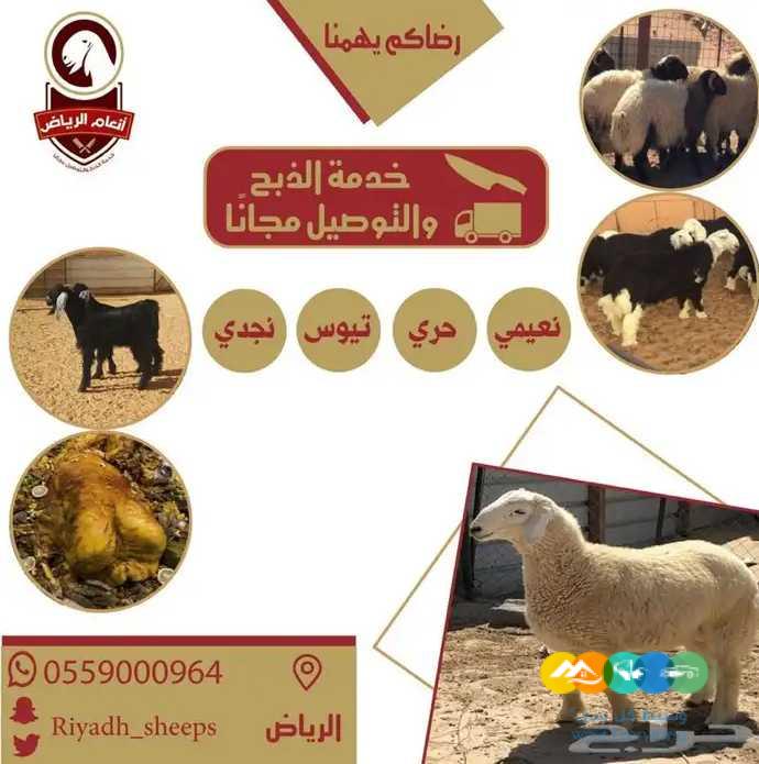 ذبايح فاخره وجبره (ذبح تغليف توصيل)