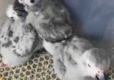 62cbb187-c794-4c53-8be6-2977b43671c3