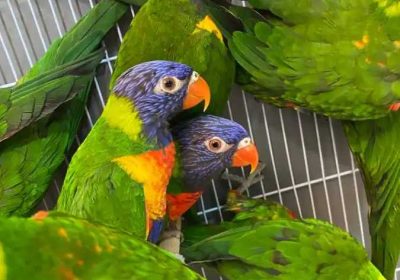 62f6b9a8-2ffd-447f-88b1-d54006c96f96