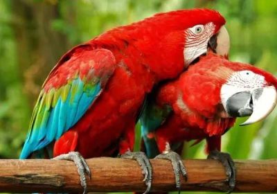 90fca066-dc71-4b74-b47b-393a1566ac05