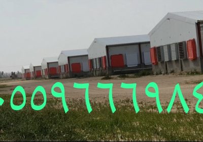 B1C85C5A-9362-4D55-92B5-204DD90F3E60