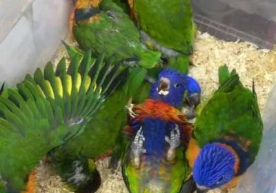 a5e479af-3be5-427e-a24a-ed2293cc6f44