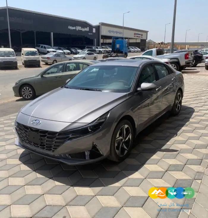 النترا كمفورت 2023 اصفار