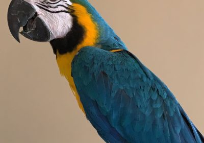 173503EB-C14E-4F0B-BB25-35E71DCA37CA