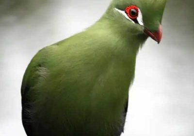 176a494c-9351-4687-9d0f-bed7576e7426