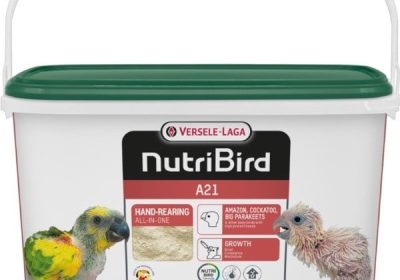 pwtkFrJTEHryH1dX5hk8qrqviM7hzgSicmE41esv