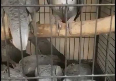 4e30be12-4038-49d8-8ad6-cc25f19a7f30