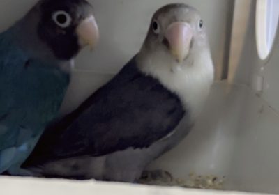 5DB6FB7E-012A-4A15-929D-368F827481E2