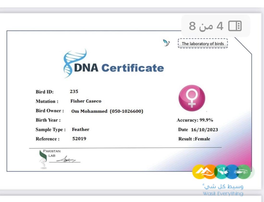 زوج فيشر ألوان جميله