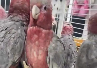 6cd0e4ef-60fa-477a-aa0f-48ebe1a72552