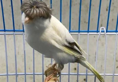 7cb3b472-318b-4158-8ba8-948fb244b3b0