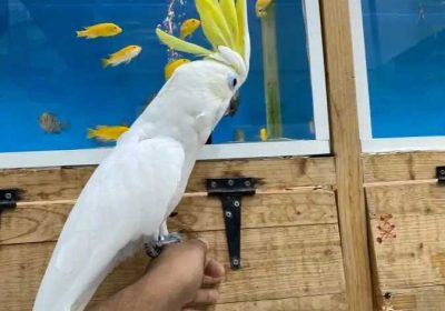 fb50f554-9abb-4fdd-9f96-9be349fb90d0