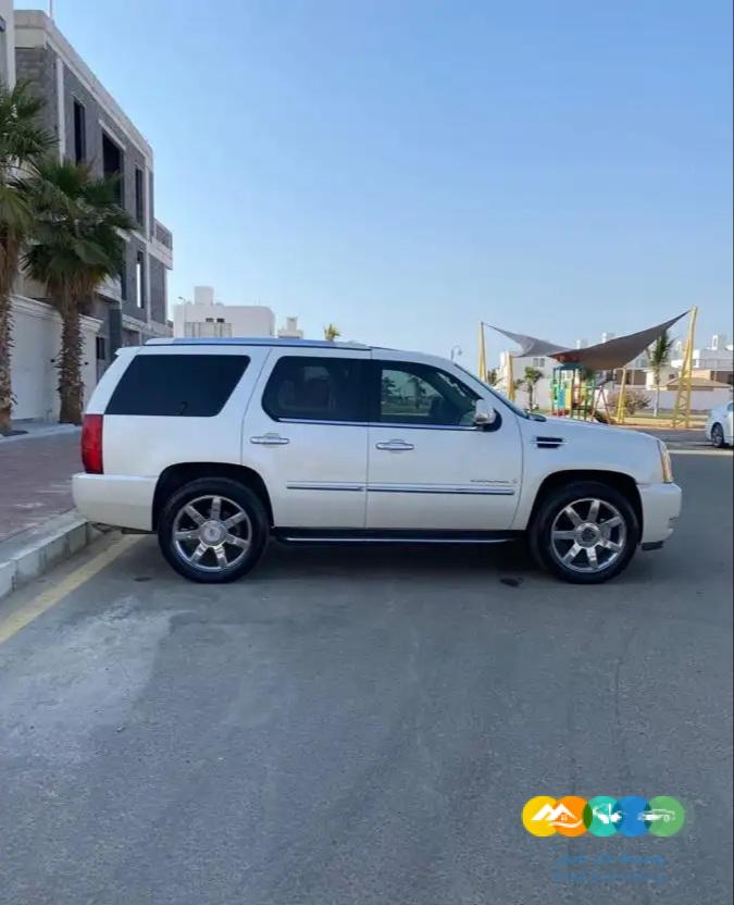 اسكاليد وارد امريكا 2007