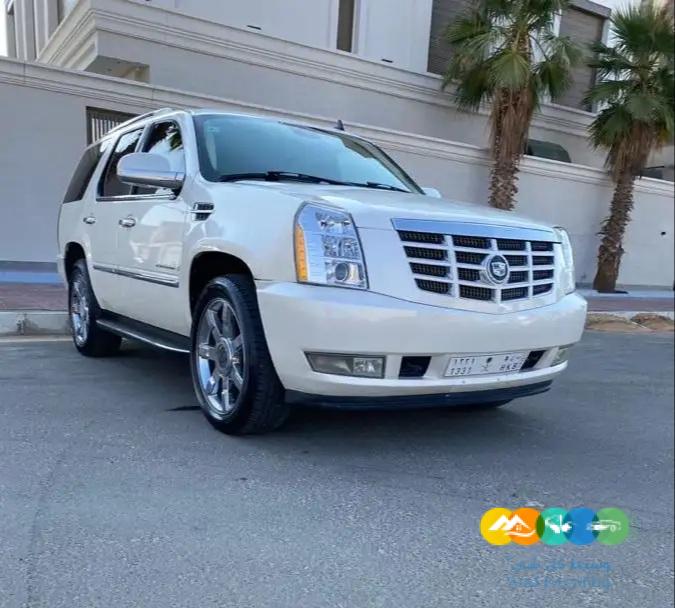 اسكاليد وارد امريكا 2007