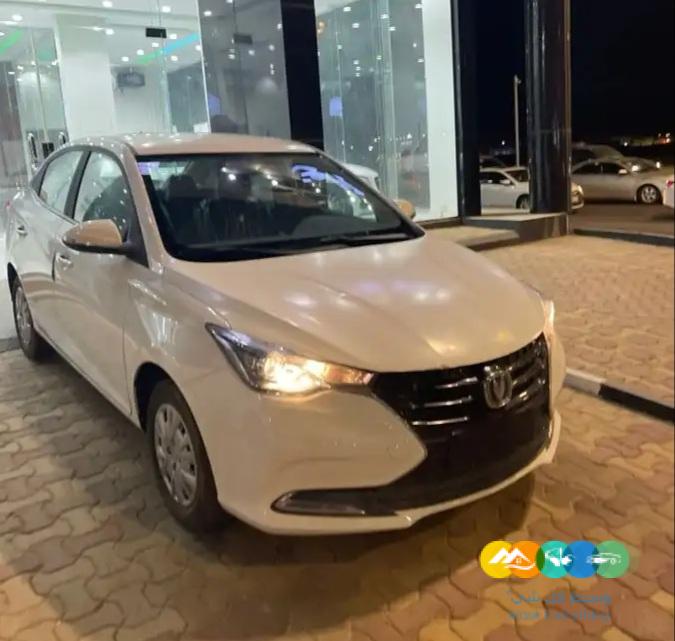 شانجان السفن ستاندر 2022