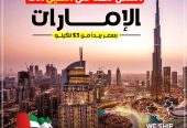 الشركة العربية للتجارة والشحن