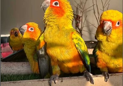 3573f7d1-857e-4c41-bc53-910dad2cf0e9