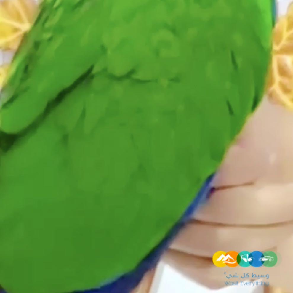 فرخ اكلكتوس ذكر معتمد على نفسه