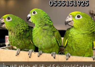 944e883b-0f64-45bc-bd69-4ab7741bc76f
