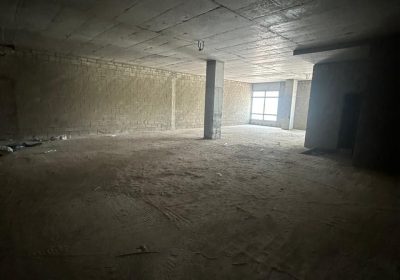 DEAF701F-39B5-43E8-B1F7-1F3170FCBE30