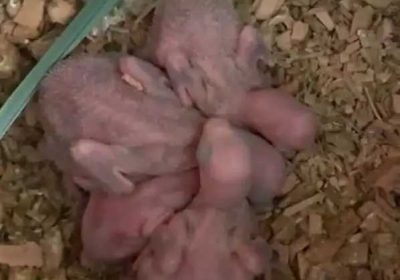 dd1dce01-b5a3-4703-9973-02a9e027bc84