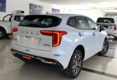 هافال جولين ستاندر 1500 سي سي 2024