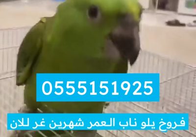 _١٨٠٥١٤