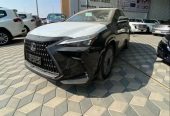 لكزس NX350 – استاندر AA – 2024 – سعودي
