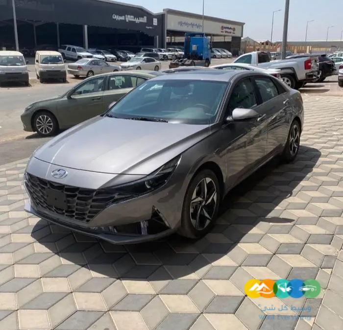 النترا كمفورت 2024 اصفار