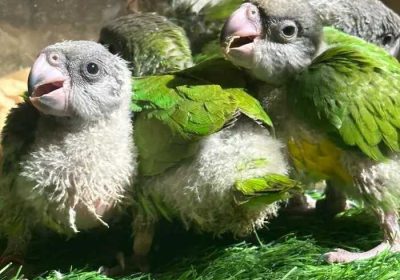 24e75a6e-14e8-4041-880b-dab63c98c891