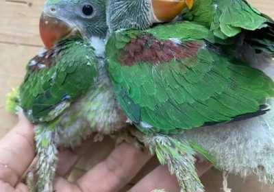 897ac11d-87a5-4a23-83fc-3289f8668f0a