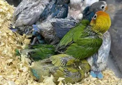 96a60ddf-3f9c-4a7f-b58a-ce7fa9b8a231