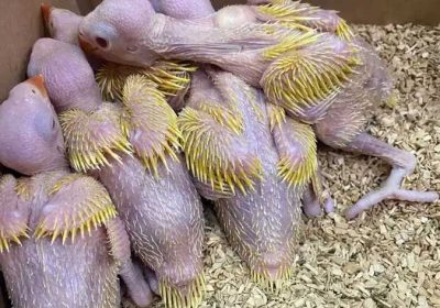 b749e8cc-4f07-4225-ac5b-60ee9691e283