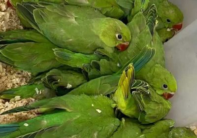 0976fb7c-0b3a-445f-9b63-6b3696ccb29c