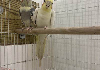 2D8FB91E-1CD0-4F18-969A-56A957C2595F