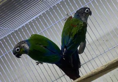 879a9f65-e9eb-4809-b05c-d2ef4c42495c