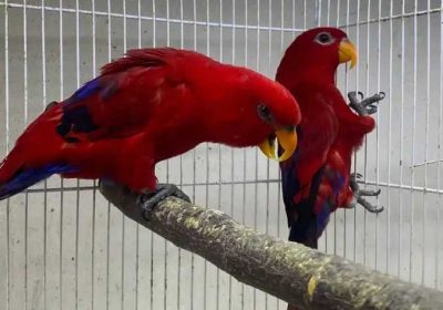 dfdc79a8-8f9a-4ce5-90e0-5fcea2d728b8