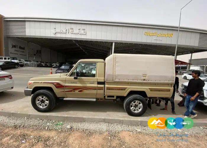 شاص – سلق عادي – سعودي – 2013