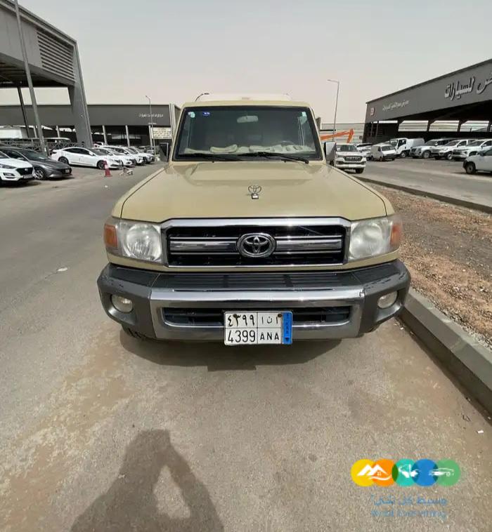 شاص – سلق عادي – سعودي – 2013