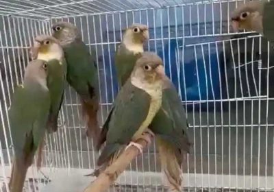 26d1074b-d401-4c85-a76d-17bafc75a84f