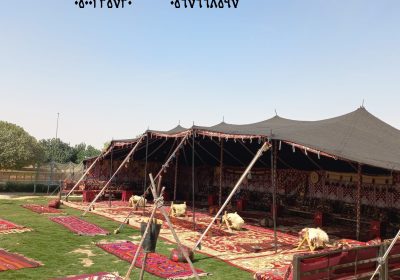 WhatsApp-Image-2022-11-21-at-11.01.25-AM-1